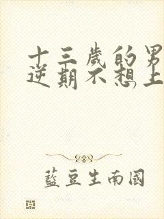 十三岁的男孩叛逆期不想上学了