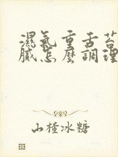 湿气重舌苔白厚腻怎么调理