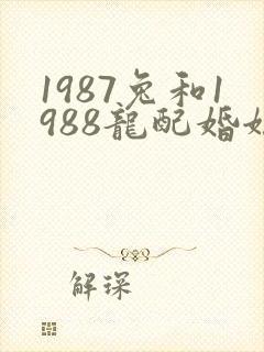 1987兔和1988龙配婚姻好不好