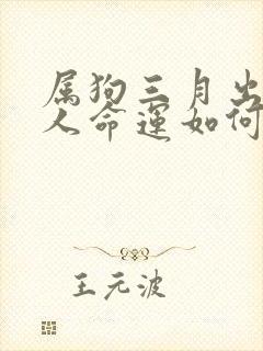 属狗三月出生的人命运如何