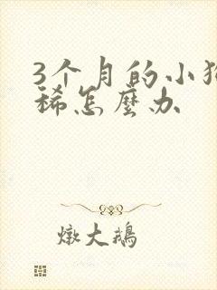 3个月的小狗拉稀怎么办