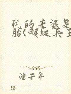 我的老婆是双胞胎(超级兵王在都市)