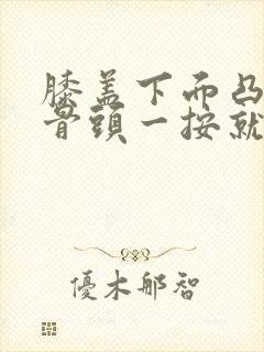 膝盖下面凸起的骨头一按就疼