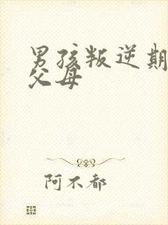 男孩叛逆期打骂父母