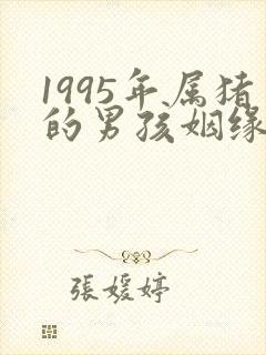 1995年属猪的男孩姻缘在哪一年?