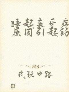 睡起来牙疼什么原因引起的