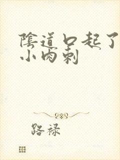 阴道口起了很多小肉刺