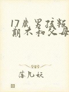 17岁男孩叛逆期不和父母沟通怎么办