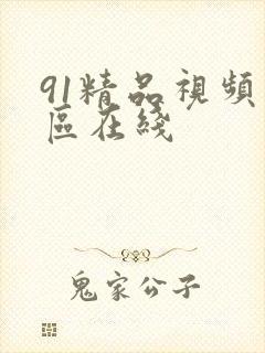 91精品视频一区在线