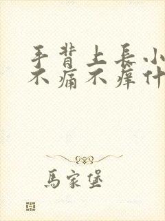 手背上长小红点不痛不痒什么原因