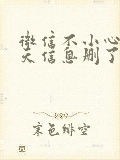 微信不小心把聊天信息删了怎么回复