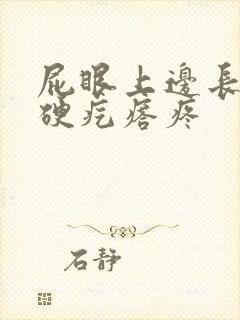 屁眼上边长了个硬疙瘩疼封面