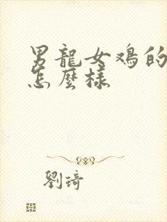 男龙女鸡的姻缘怎么样封面