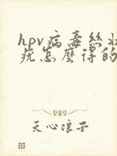 hpv病毒丝状疣怎么得的