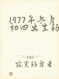 1977年冬月初四出生的命运封面