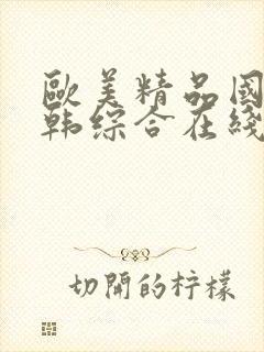 欧美精品国产日韩综合在线