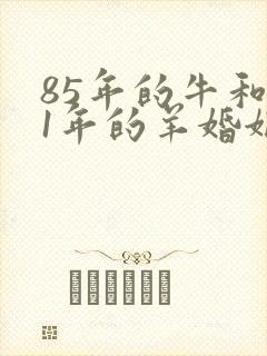 85年的牛和91年的羊婚姻怎么样封面