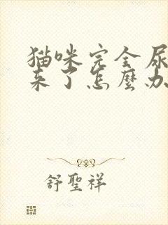 猫咪完全尿不出来了怎么办