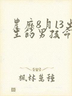 农历8月13出生的男孩命运