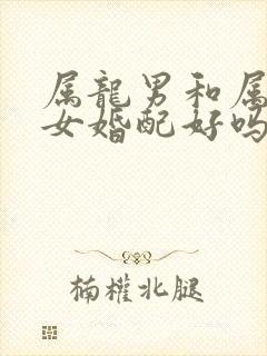 属龙男和属兔的女婚配好吗