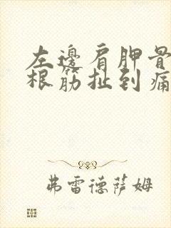 左边肩胛骨有一根筋扯到痛连着脖子