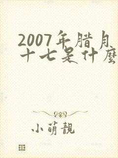 2007年腊月十七是什么命封面