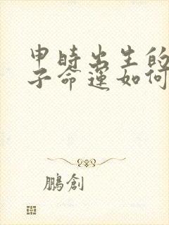 申时出生的男孩子命运如何