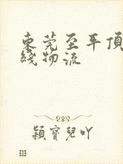 东莞至平顶山专线物流封面