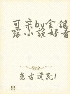 可宋by金银花露小说好看吗