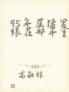 95年属猪男姻缘在哪年会结婚