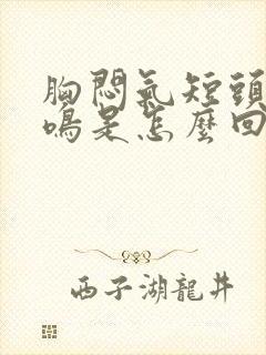 胸闷气短头晕耳鸣是怎么回事