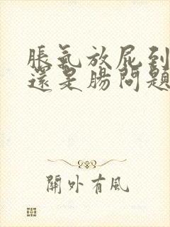 胀气放屁到底胃还是肠问题封面