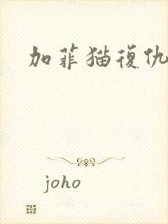 加菲猫复仇记