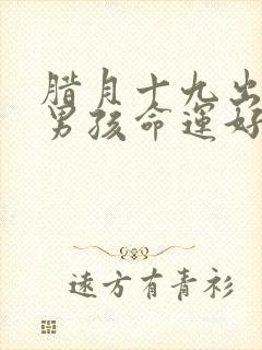 腊月十九出生的男孩命运好吗