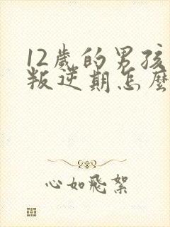 12岁的男孩子叛逆期怎么办封面