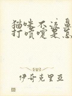 猫咪不流鼻涕就打喷嚏是怎么回事封面