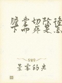 胆囊切除后肋骨下面疼是怎么回事封面