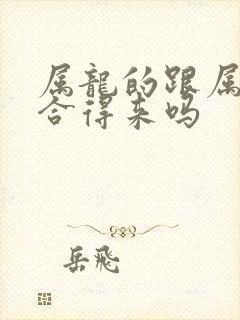 属龙的跟属兔的合得来吗