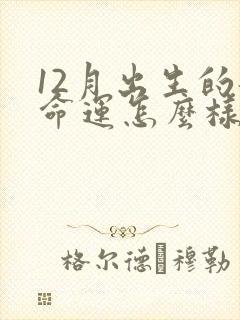 12月出生的龙命运怎么样