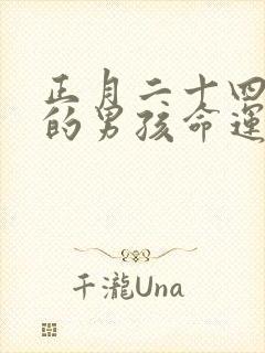 正月二十四出生的男孩命运