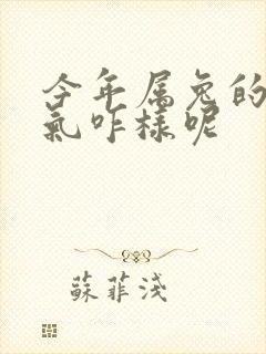 今年属兔的人运气咋样呢封面