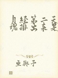 月经第二天有血块排出来是什么原因