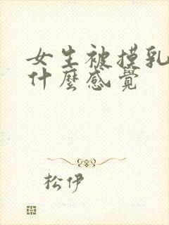 女生被摸乳房是什么感觉