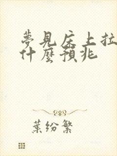 梦见床上拉屎是什么预兆