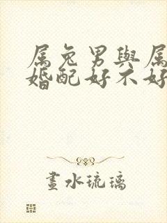 属兔男与属牛女婚配好不好呀