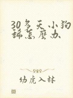 30多天小狗拉稀怎么办