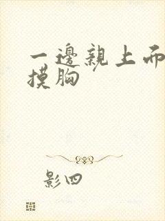 一边亲上面一边摸胸