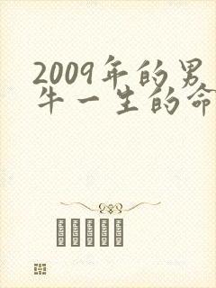 2009年的男牛一生的命运如何