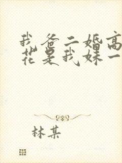 我爸二婚高冷校花是我妹一口气看完封面