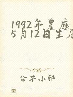1992年农历5月12日生辰八字